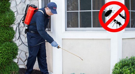 Seydişehir Böcek İlaçlama böcek ilaçlama ve haşere kontrolü — ilaclama-tr.com